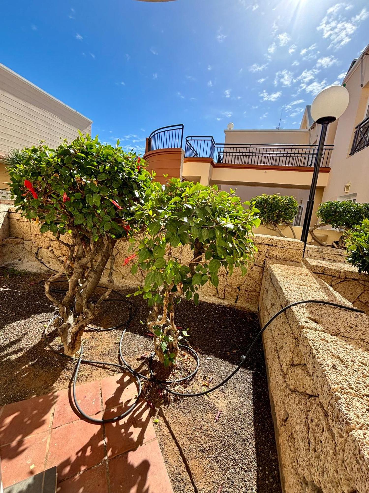 אדחה Apartment Clara Fanabe מראה חיצוני תמונה